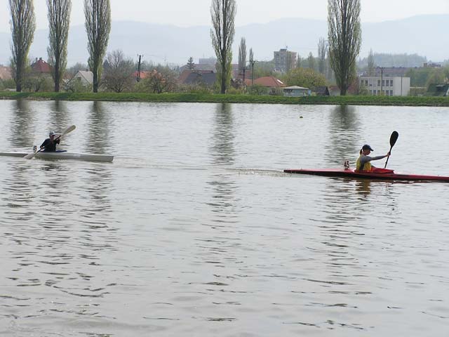 Majstrovstvá SR, dlhé trate - fotka