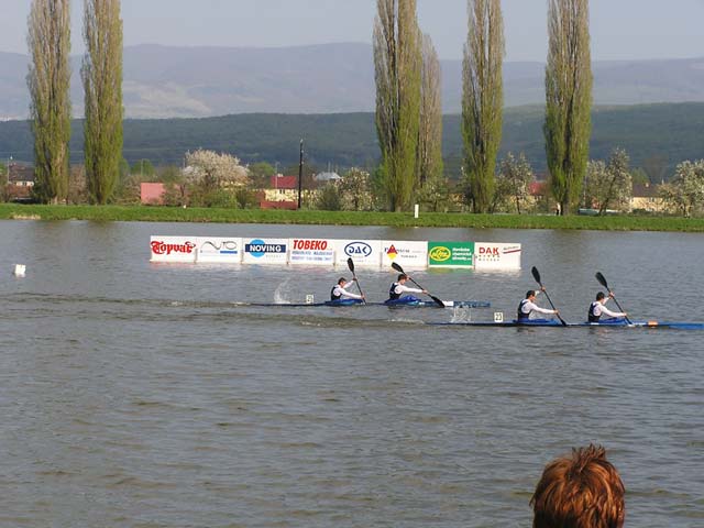 Majstrovstvá SR, dlhé trate - fotka