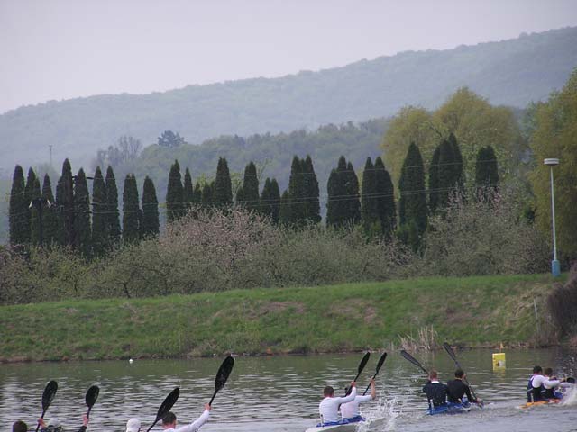 Majstrovstvá SR, dlhé trate - fotka