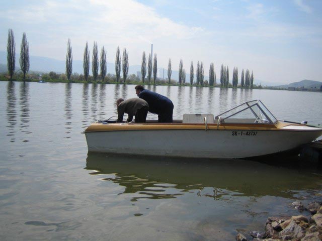 Majstrovstvá SR, dlhé trate - fotka