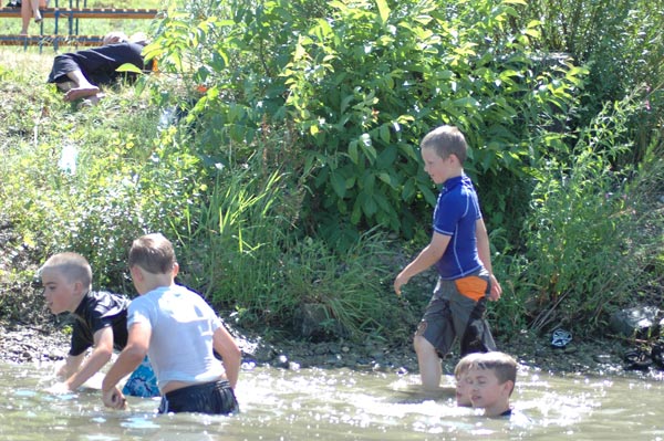 Trenčianska regata Trenčín, 52. ročník - fotka