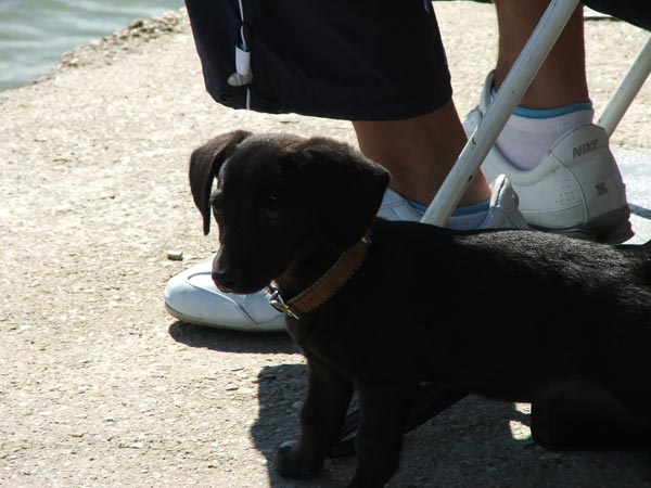 Pohár Slávie UK, 9.&nbsp;ročník - fotka