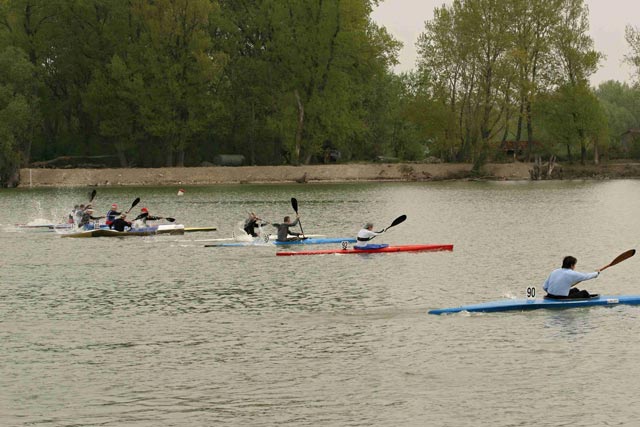 Dunajský maratón, 21. ročník - fotka