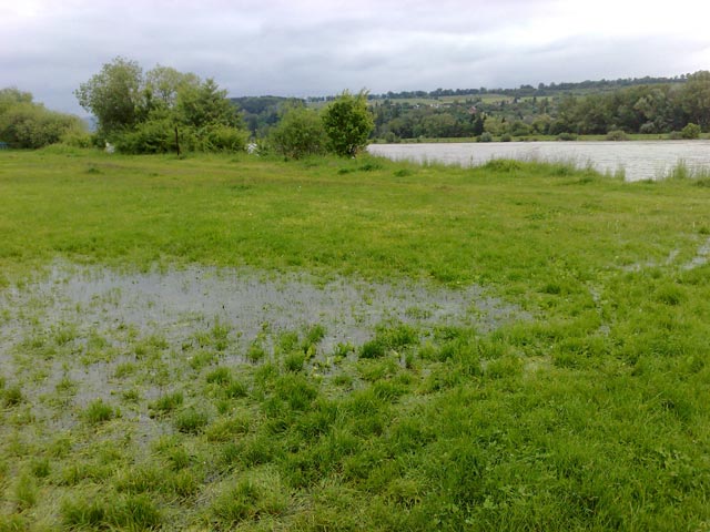 Medzinárodná regata, 24. ročník - fotka