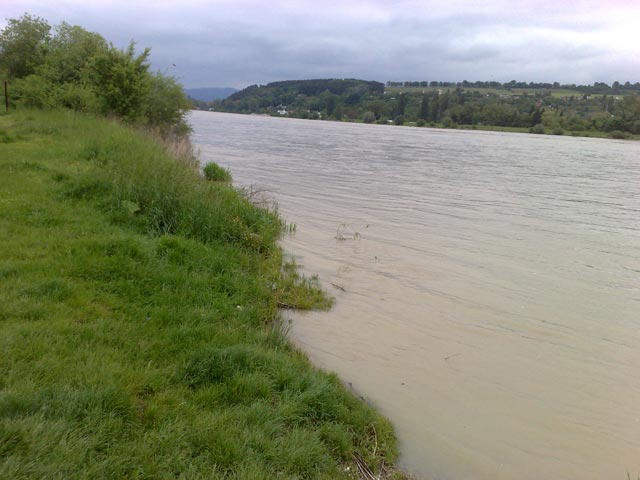 Medzinárodná regata, 24. ročník - fotka