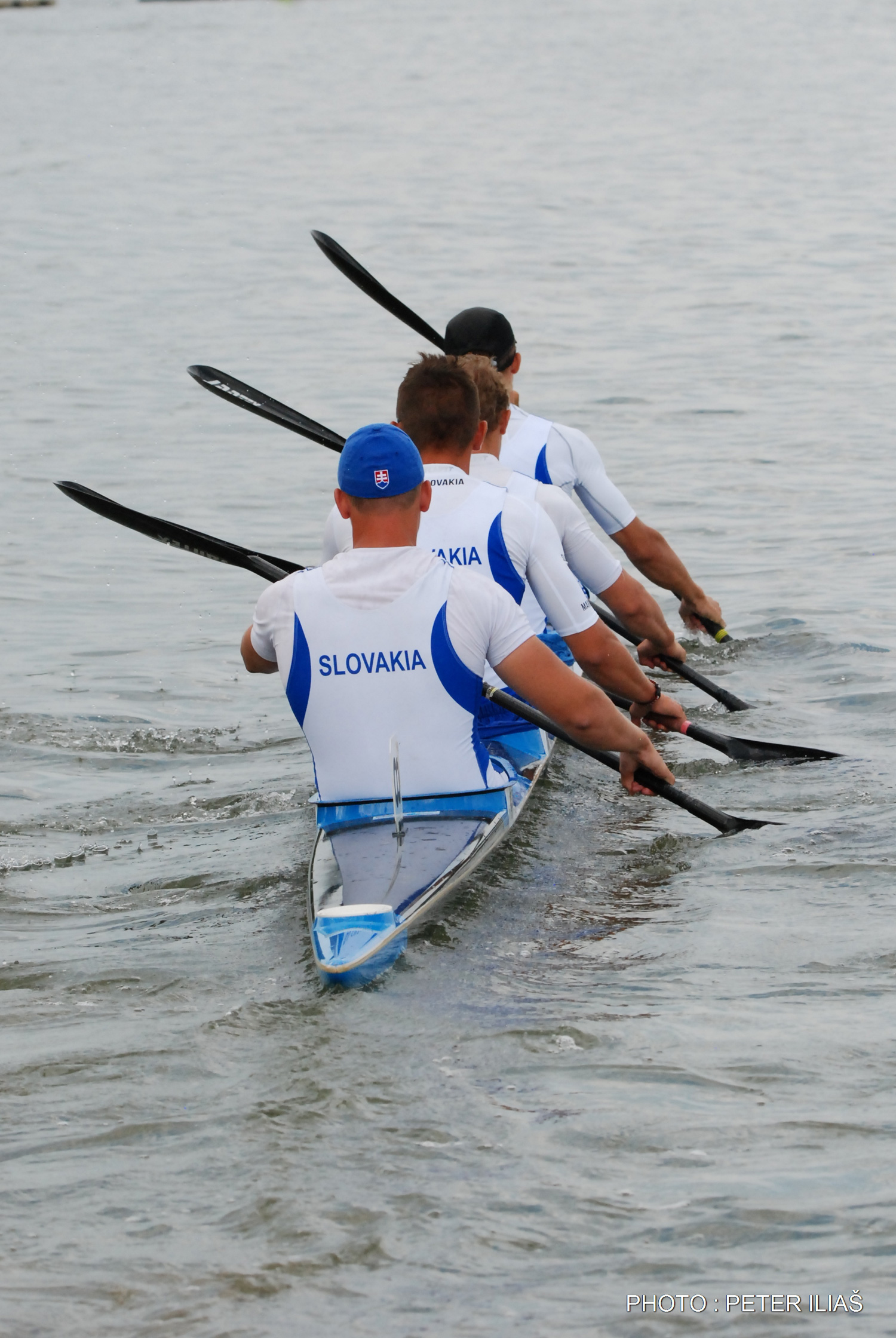 Medzinárodná regata juniorov a U23 - fotka