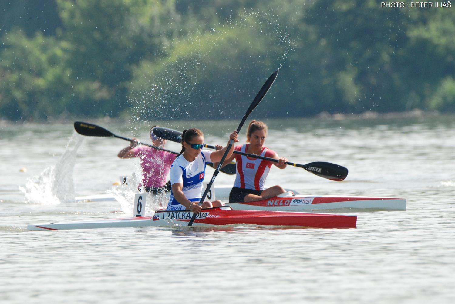 Medzinárodná regata juniorov a U23 - fotka