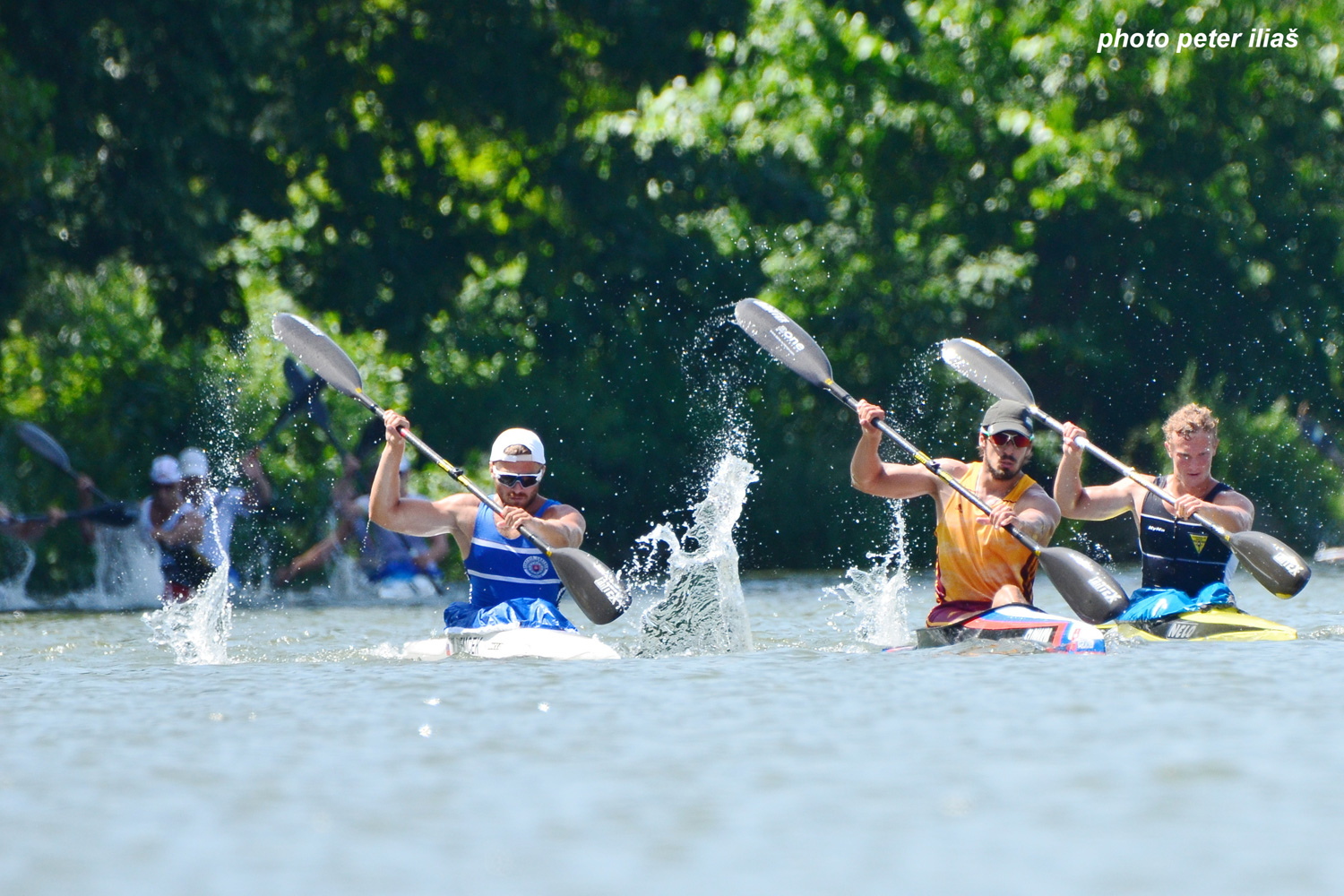 Trenčianska regata  - fotka