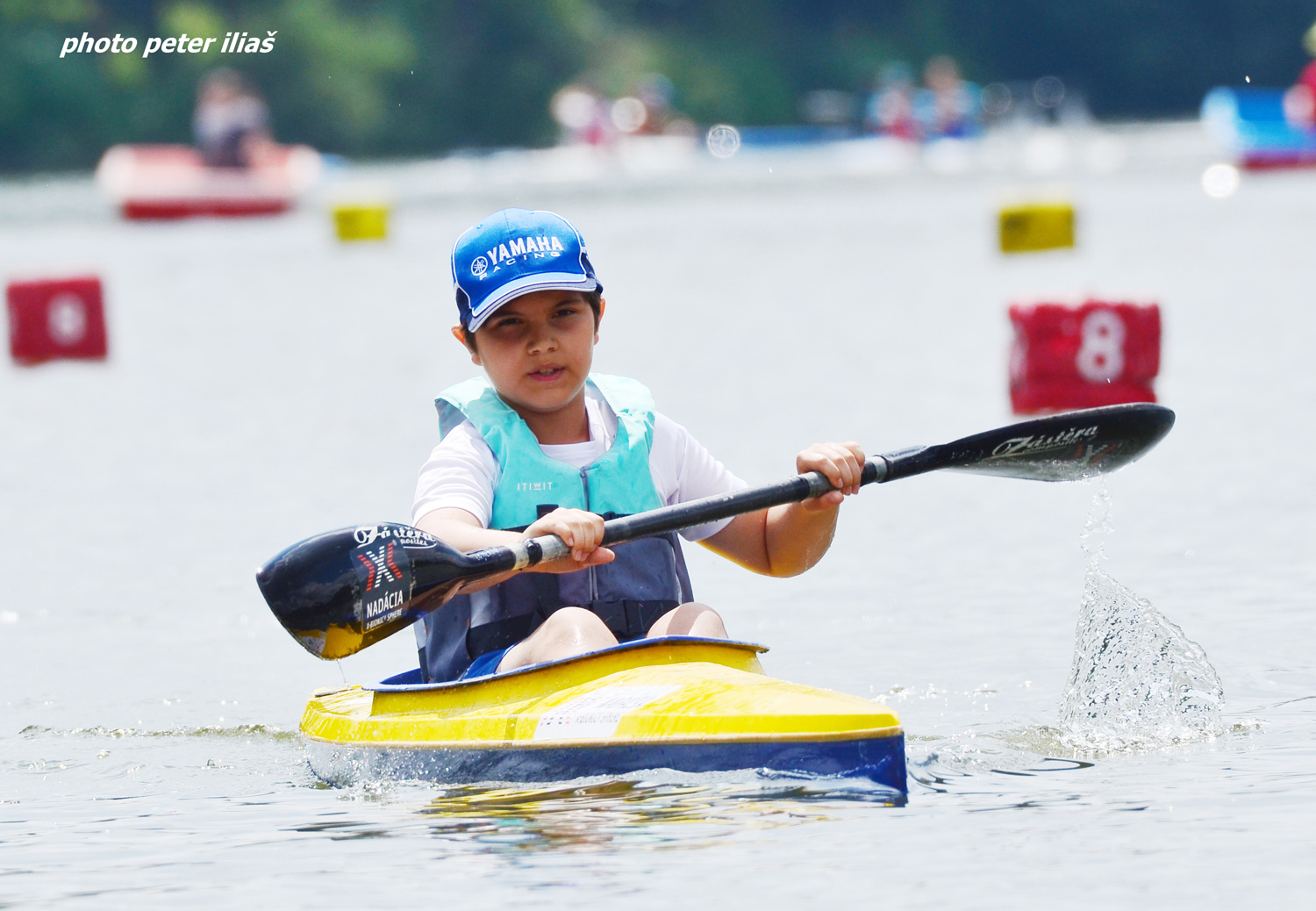 Trenčianska regata - fotka