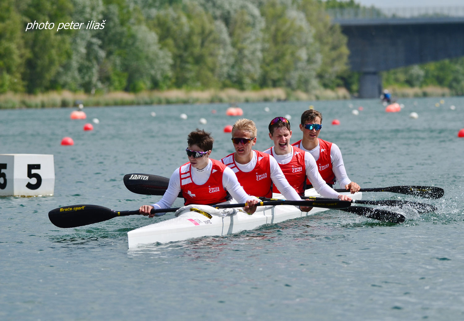 Medzinárodná regata juniorov a U23 - fotka