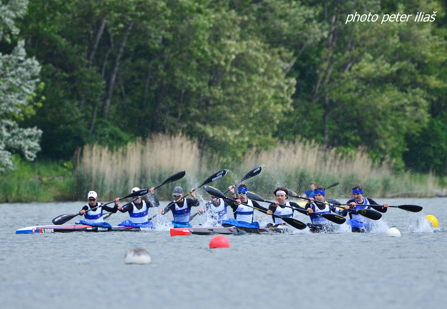 Medzinárodná regata juniorov a U23 - fotka